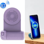 Upgrade Model / Purple