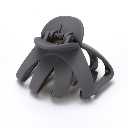 10 PCS Frosted Ladies Coiffure Hair Grab Hair Clip