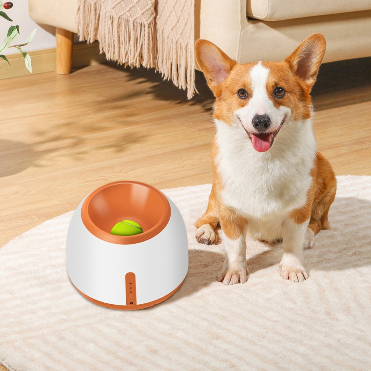 CWFQQ-1 Tennis Ball Launcher Dogs Interactive Toys, Adapter: