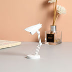 LD01 White / LD01 White