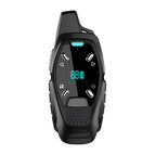 A13 (Black) / Black