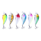 6 Colors Boxed