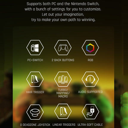 RGB Light Wired Gamepad Controller For PC/Switch