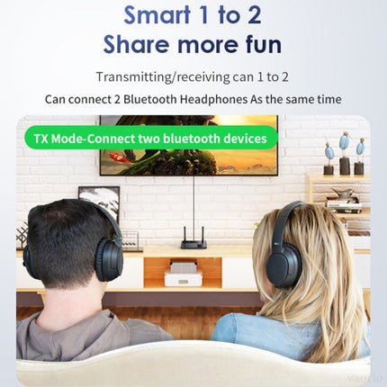 B39 2 In 1 Bluetooth 5.3AUX Music Receiver TV Computer Adapter, B39
