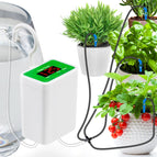 Water 4 Potted Plants