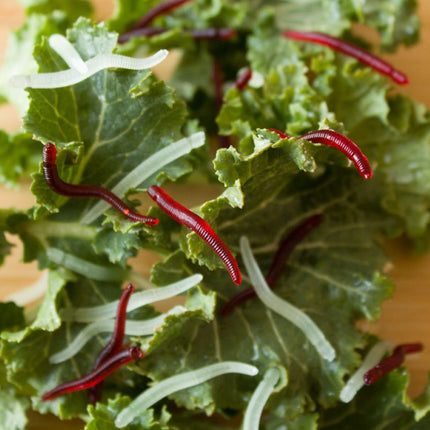 3.5cm Fishy Red Earthworm Fake Bait Luminous Fish Lure, 5bags 20pcs/bag, 5bags 50pcs/bag, 5bags 100pcs/bag, 5bags 200pcs/bag