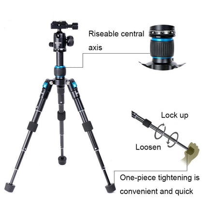 BEXIN V30 Adjustable Aluminum Alloy Desktop Camera Tripod Mini Portable Folding Live Tripod
