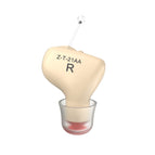 Skin Color Right Ear / Skin Color Right Ear