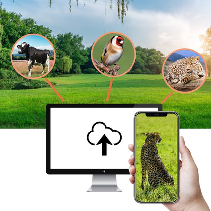 4K 4G Outdoor Track Camera Remote Mobile Phone Control To View Photos / Video At Any Time