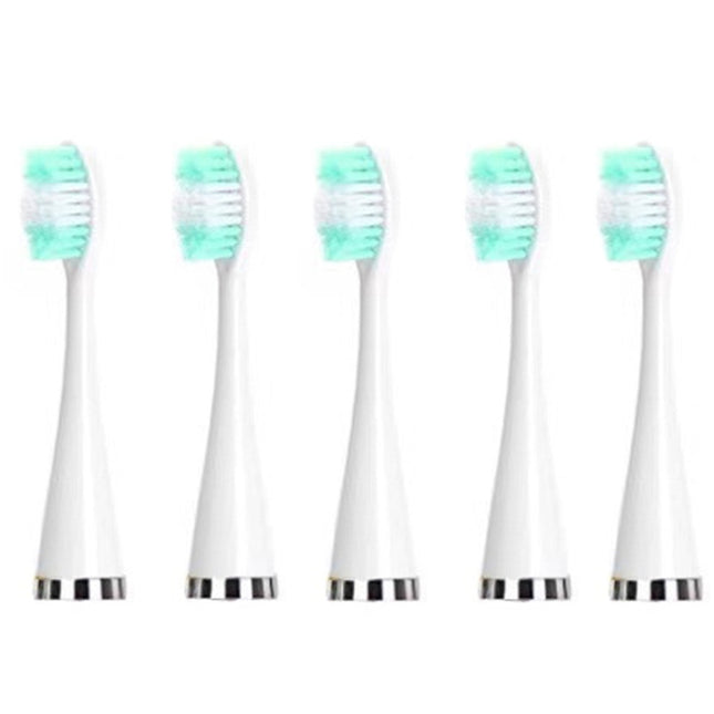 Electric Dental Scaler Accessories Replacement Head, White Basic, White Exclusive, Black Basic, Black Exclusive, Green Basic, Green Exclusive, 5pcs Toothbrush Head White, 5pcs Toothbrush Head Black, 5pcs Toothbrush Head Green
