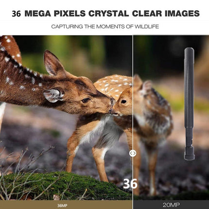 HC-801Pro 4K 4G Outdoor Hunting Camera App Remote Mobile Phone Control To View Photos And Video At Any Time