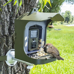 BC303 Bird Feeder Outdoor Trail Camera Bird Watching Camera With Motion Sensor