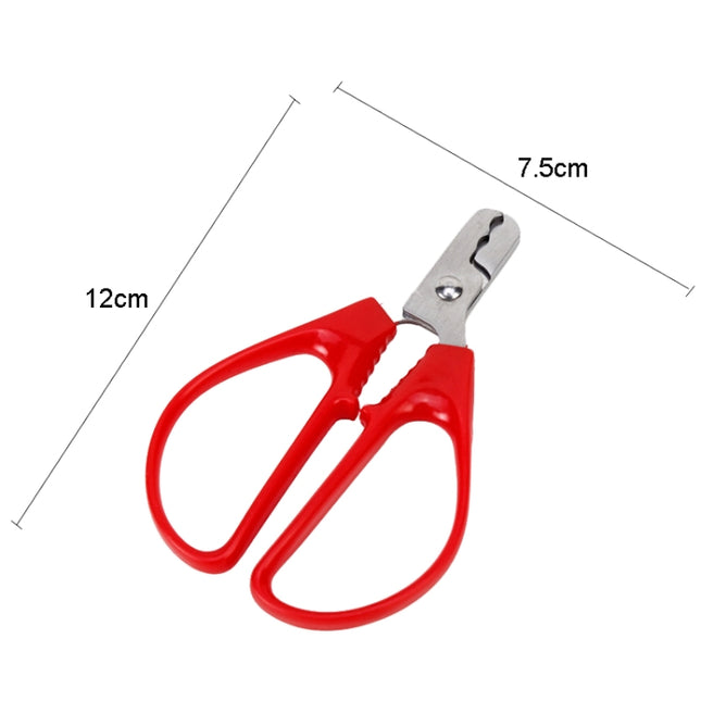 Shelling Scissors Peanut Shelling Clip Pine Nut Pliers Household Melon Seed Peeling Tool