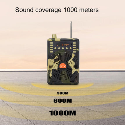 48W Wireless Bluetooth Voice Amplifier with Remote Control Supports USB/TF Card Playback