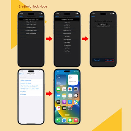 R-SIM18 CLUB Unlock Card Integrate TMSI / eSIM / ICCID / IPCC for iOS System, R-SIM18 CLUB