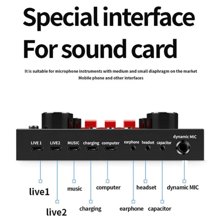 Audio Condenser Mic Studio Singing Microphone