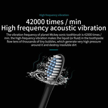 Rechargeable Ultrasonic Soft Bristle Electrical Toothbrushes Flosser 6 Gear With 4 Brushes