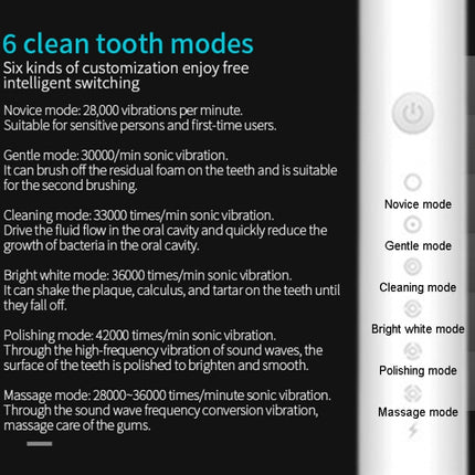 Rechargeable Ultrasonic Soft Bristle Electrical Toothbrushes Flosser 6 Gear With 4 Brushes