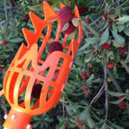 Large 26cm / Yellow