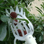 Large 26cm / White