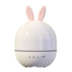 Music Box Remote Model / Rabbit