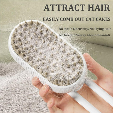 Pet Electric Spray Comb Rechargeable Cat Steamy Grooming Brush Cleaning Tool