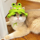 M / Frog Hat