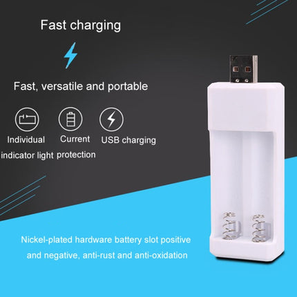 Directly Inserted 2 Slots USB AA / AAA Rechargeable Battery Charger, USB 2 Slots