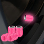 Pink Black Flag
