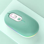 2.4G+Bluetooth Green