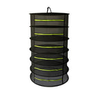 6 Layer