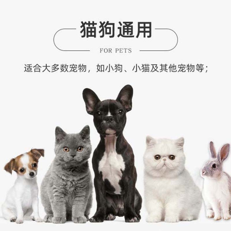 Newborn Pet Identification Circle Kitten And Puppy Colorful Collar, S, M, L