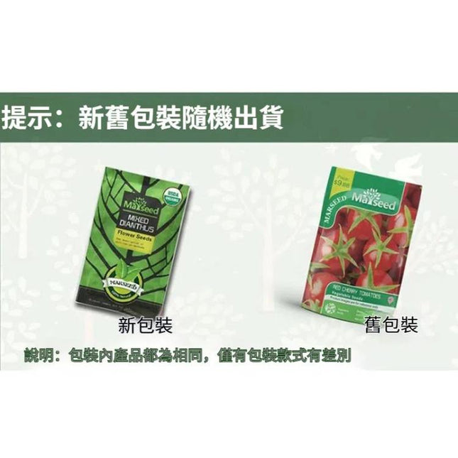 MARSEED Delicious Tomato Seeds, New / Old Packaging Ships Randomly