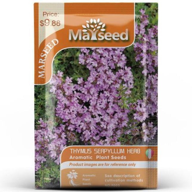 Herb Collection Spice Seeds, New / Old Packaging Ships Randomly, Cedarwood, Thyme
