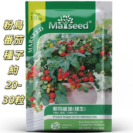 MARSEED 20-30pcs /Pack Potted Dwarf Pink Bird Tomato Seeds
