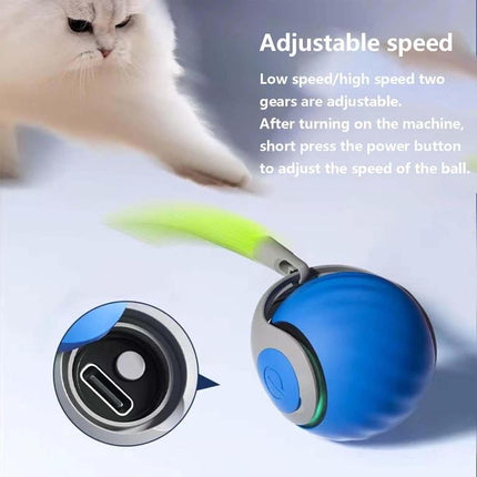 Smart Self Rolling Ball Interactive Cat Toys USB Rechargeable Cat Ball Two Speed Adjustment