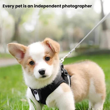 Pet Recorder With Collar Cat Dog View Camera