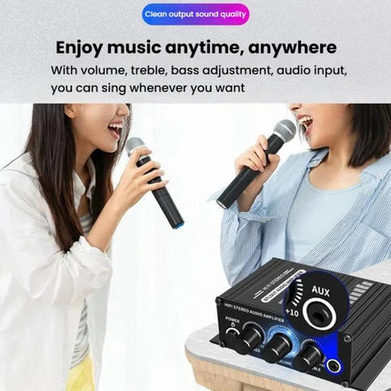 Car Home Stereo Mini Amplifier, AK270, AK270 With DC Line
