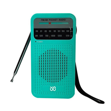 Portable Pointer AM/FM Full Channel Radio