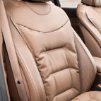 Back Cushion Brown