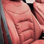 Back Cushion Red