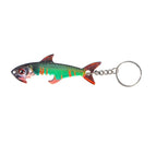 Sardine