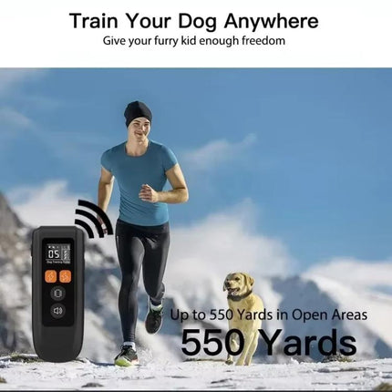 T740 Rechargeable Remote Dog Training Collar IP67 Waterproof  Pet Trainer, T740