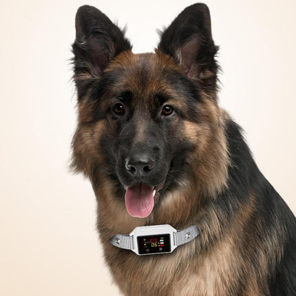 B800 Smart Anti-Bark Collar Electric Shock Dog Trainer With Color Screen & Anti-False Trigger, IP68 Waterproof, Magnetic Charging, Electric Shock Gray, Electric Shock Black