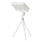 Three-Color Light White