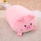 60cm / pig