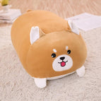 60cm / dog