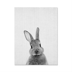 Rabbit Before and After the Computer Printing Decorative Painting Frameless Core