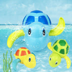 Educational Turtle (Light Blue) / Light Blue
