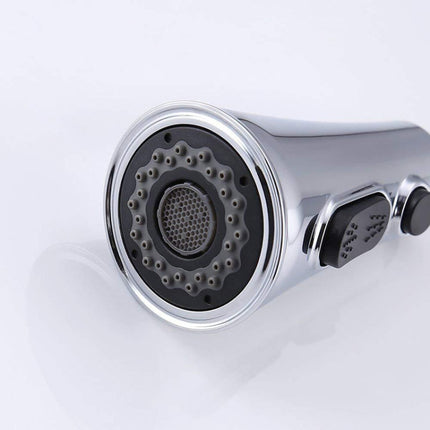 Kitchen Horn Button Switch Pausable Faucet Sprinkler Water Saving Nozzle Sprayer Filter, Plating CP, Drawing BN